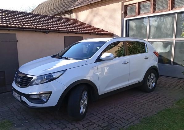 Kia Sportage cena 49900 przebieg: 204000, rok produkcji 2013 z Witnica małe 407